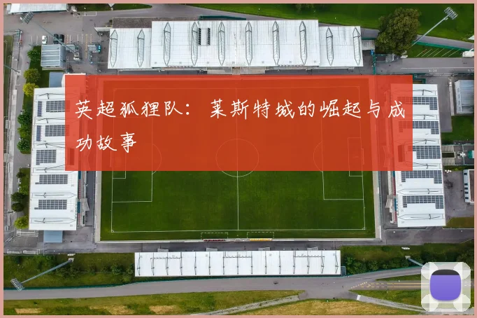 英超狐狸队：莱斯特城的崛起与成功故事