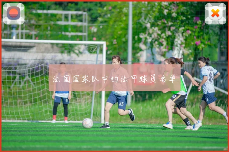 法国国家队中的法甲球员名单