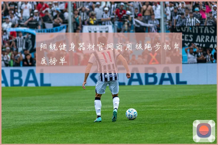 阳锐健身器材官网商用级跑步机年度榜单
