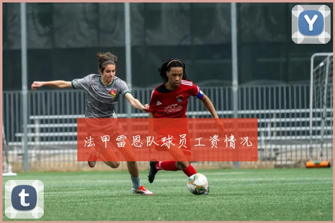 法甲雷恩队球员工资情况